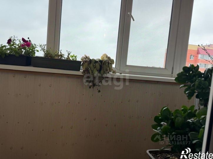 1-комн квартира Московский проспект, 95 к1,  д. 95 к1