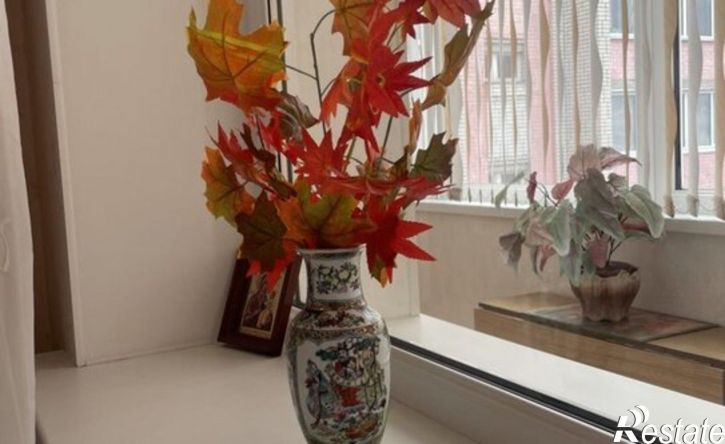 1-комн квартира ул Жуковского, 21,  д. 21