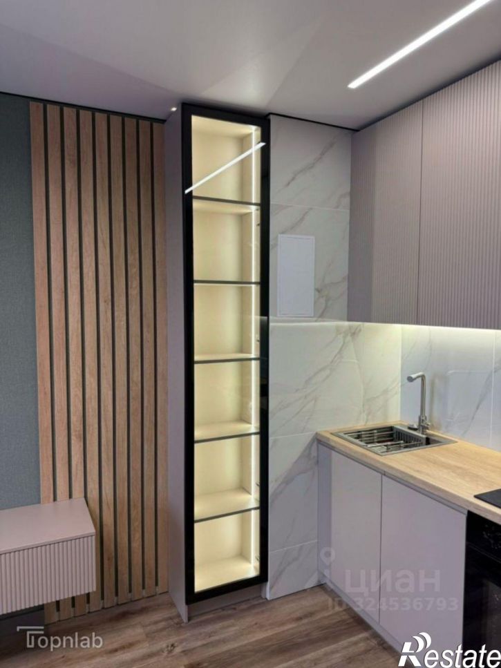 1-комн квартира улица А. К. Толстого, 3А,  д. 3А