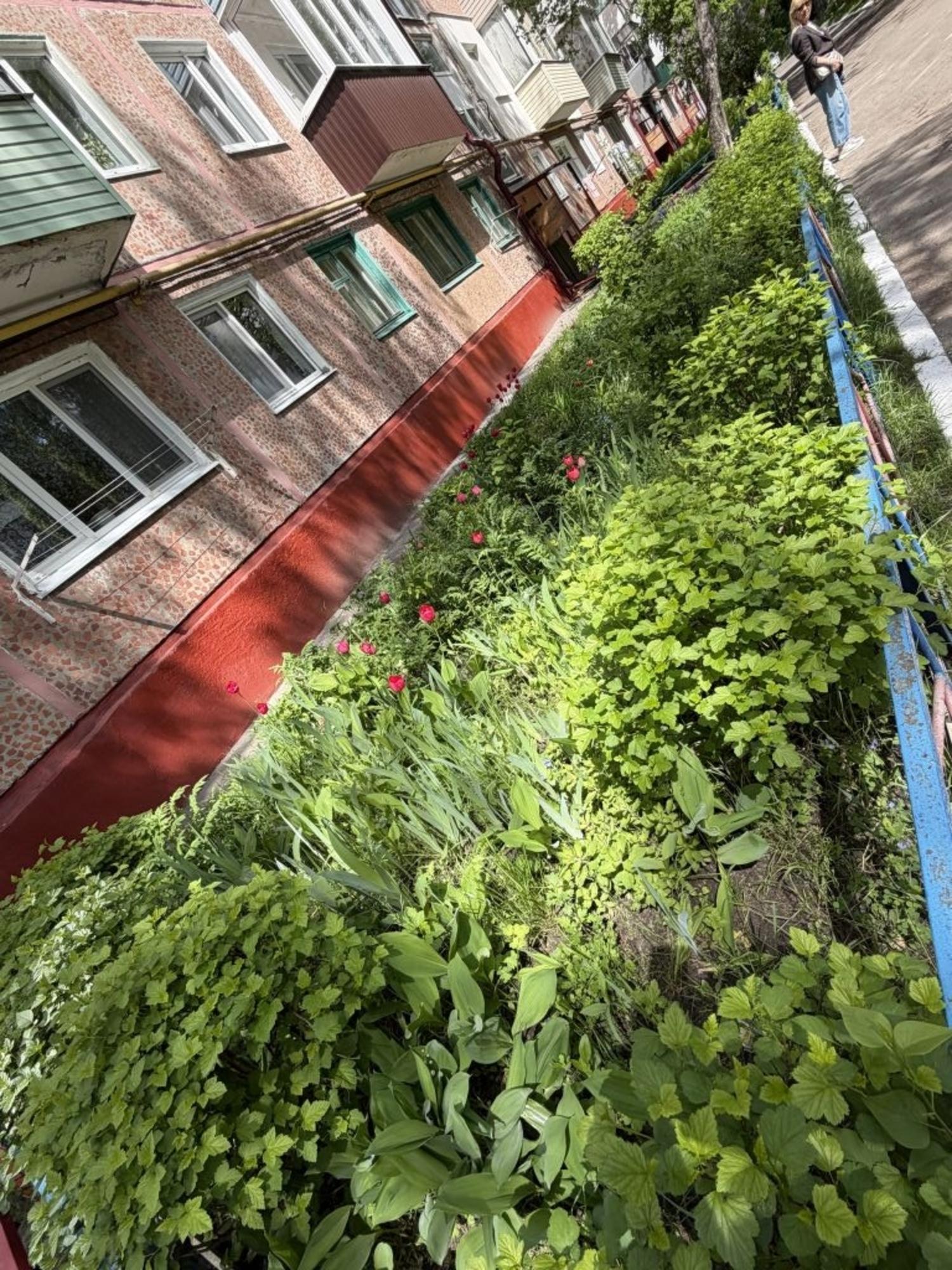 Купить квартиру за 2 220 000 рублей на Дружбы ул, 24