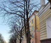 2-комн, 66кв м, этаж 4/5 б-р Гагарина, 9