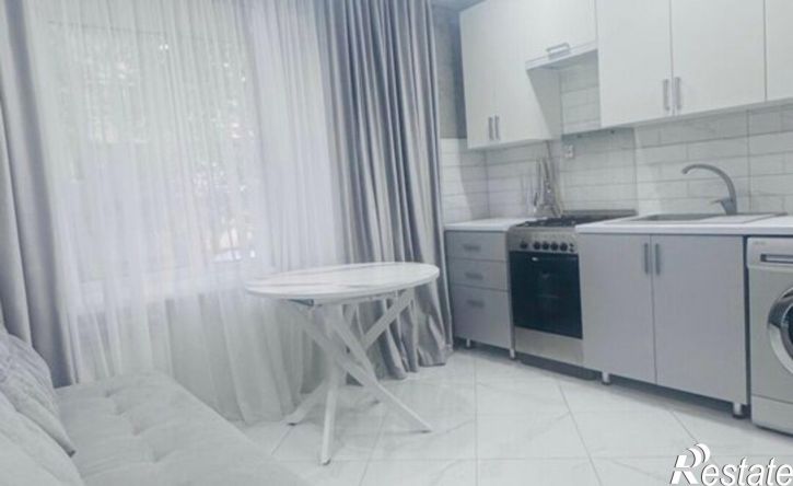 1-комн квартира ул Репина, 16А,  д. 16А