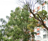 комната 14 кв м ул Окружная, 13