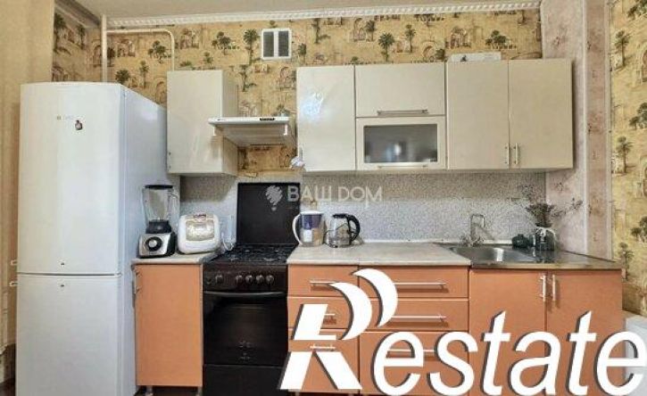 1-комн квартира улица Ромашина, 58/2,  д. 58/2